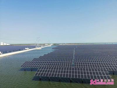 進農場走園區(qū)——外國Z世代青年體悟山東農業(yè)高質量發(fā)展新篇章