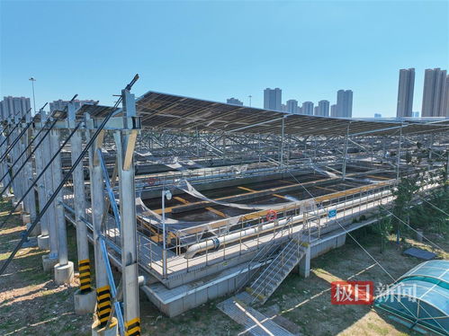 武漢黃家湖污水處理廠分布式光伏項目并網發電，每天可發電近2萬度