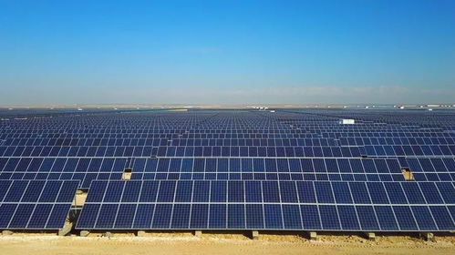 光伏行情趨熱回暖，專家提醒 產業發展需理性，技術創新是核心